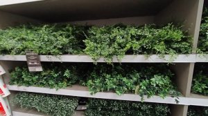 Калининград, купили обои в зал, закупка продуктов, ждём гостей