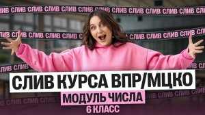 СЛИВ урока ВПР и МЦКО: Модуль числа | 2026 | Саша Теплая