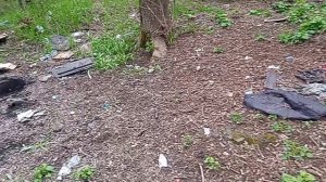 Кисловодск. О вандализме на центральном кладбище! 9.04.2026 г. часть-3.