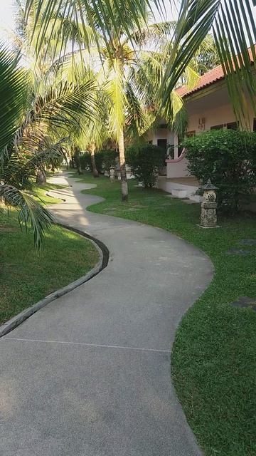 #РоссияПлыви На память. Шербань Галина Николаевна. Артём Григорьевич Баканов Водные Виды Спорта