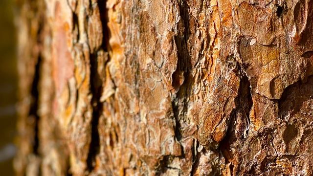 Стремительные весенние воды🌊, окрестности города Асбест, Средний Урал🏞️