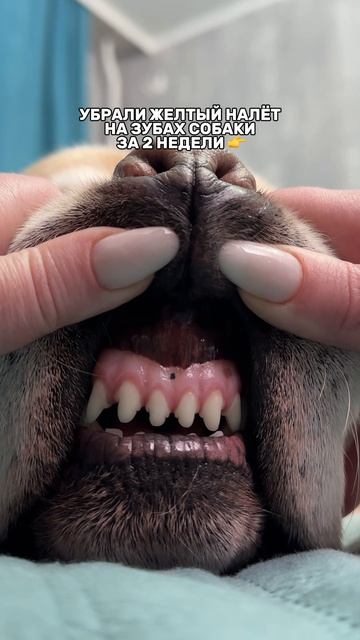 Забирайте арт на проверенный гель 👉
#WW289331