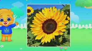 Детский, развивающий и развлекательный мультфильм, видео-головоломка.