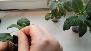 Излишки в апреле. 09.04.2026г