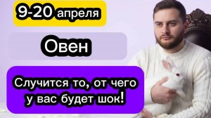 Овен - 9-20 апреля. Гороскоп. Случится то, от чего у вас будет шок!