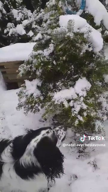 Достану...)))