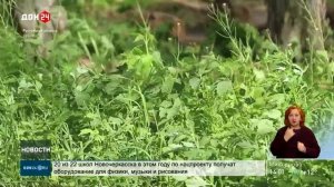 Проснулись опасные насекомые