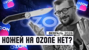 ДЕФИЦИТ НОЖЕЙ? | Топ Ozon февраль 2026