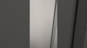 copy_10980253-6265-4D97-9AA6-A4AD235FED8F