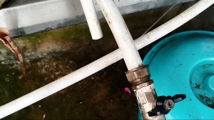 Шланг лопнул)