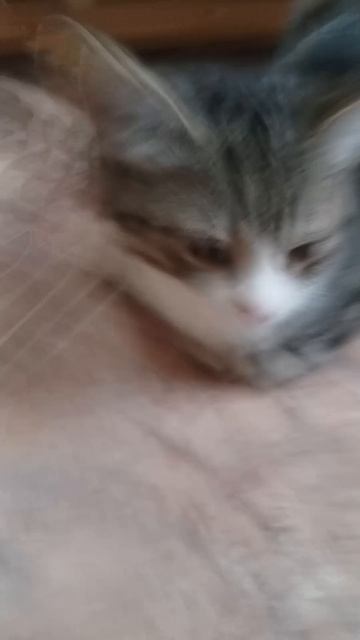 1 видео на этом канале