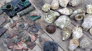 Морепродукты, устрицы | Интересные  находки,  много металла старая медь 🫣 Остров Сахалин