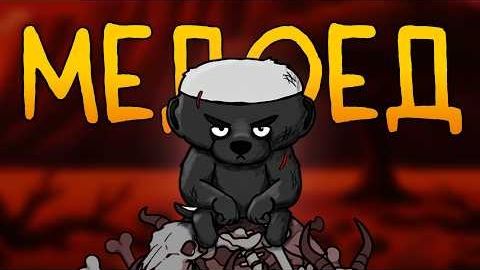 [ FanCartoons ] • Итак, ты родился медоедом...