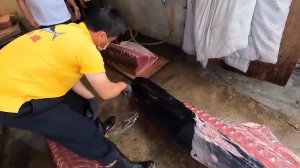 Разделка огромного голубого тунца