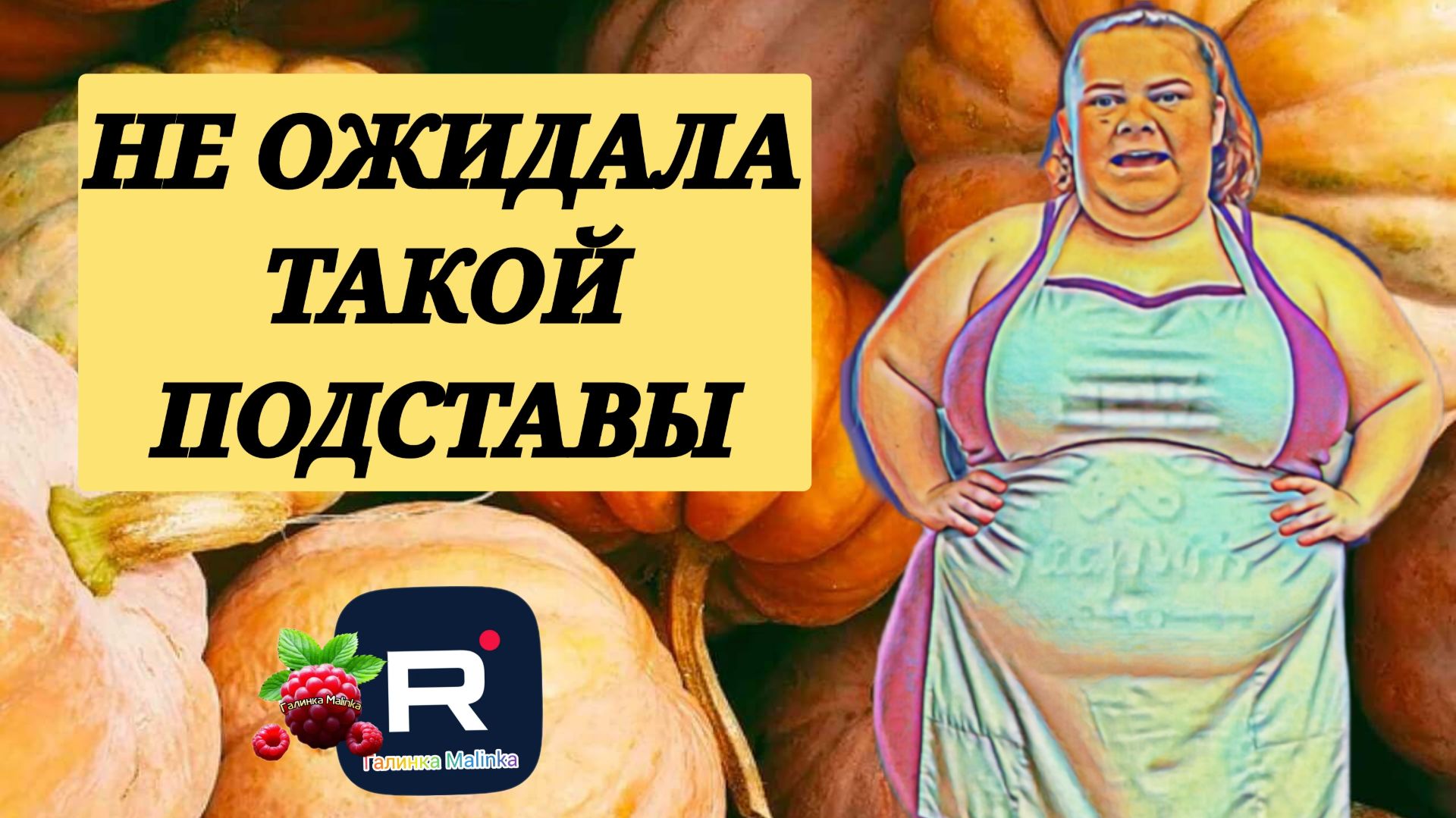 Сельчанка в Америке _Не ожидала такой подставы _Обзор _Selchanka V Amerike _Big Big Family