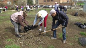 Сквер на Никитинской в Самаре очистили от мусора
