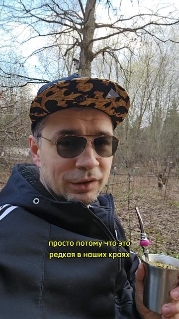 Обзор редких позиций от Yerbix апрель 2026