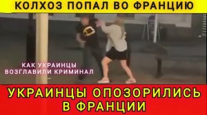 Опозорились на весь мир. Колобок из Одессы