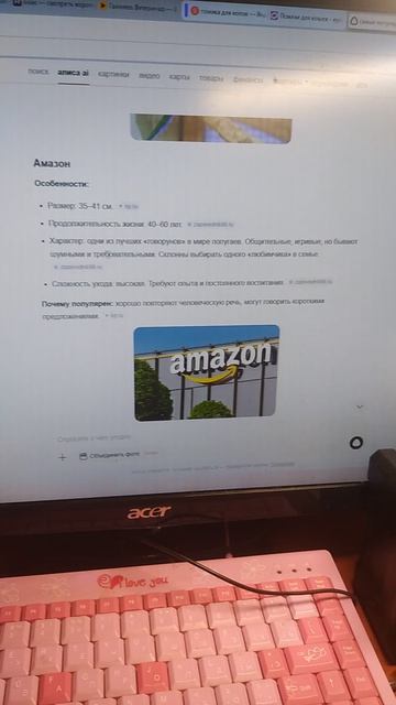 это попугай!?