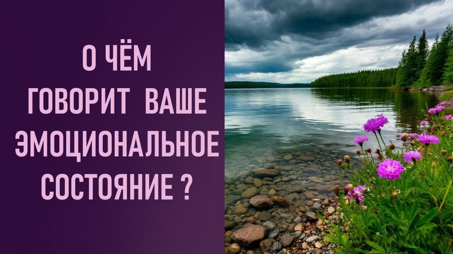 О ЧЁМ ГОВОРИТ ВАШЕ ЭМОЦИОНАЛЬНОЕ СОСТОЯНИЕ?