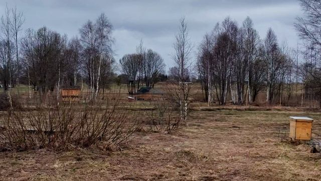 Михаил Климович