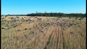 село Маар Нюрбинского района