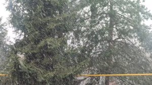 Сенсация 9 апрель магический прогноз дождливый  ☔ и снежный ❄️  как обещал волшебник сбылся....