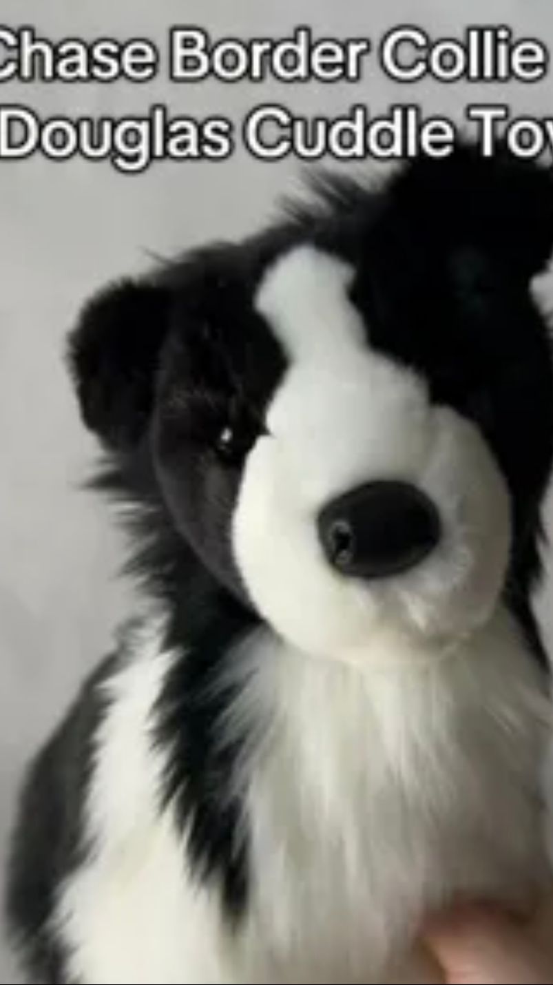 Кого хочу я VS кого хотят все