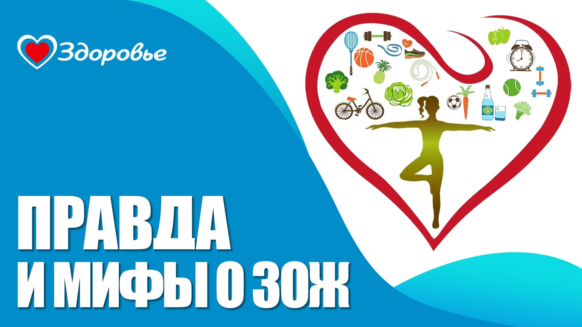 Здоровье. Иммунная система