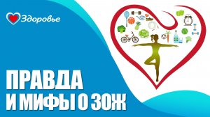 Здоровье. Иммунная система