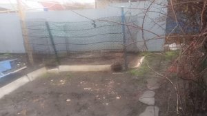 9 апреля Пошёл снег.