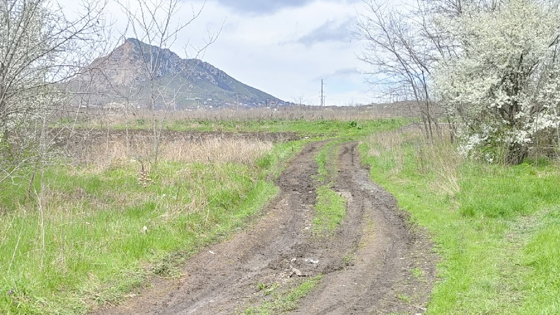 Северный Кавказ