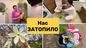 Нас ЗАТОПИЛО / Я не ожидала / Закупка продуктов на рынке