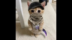 Крашт тест симулятор 3 разрушил 9