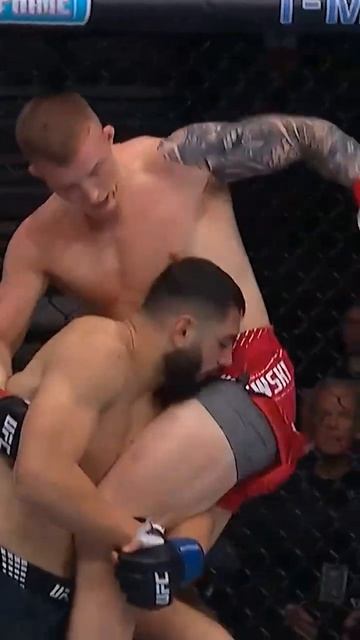 Это безумие!