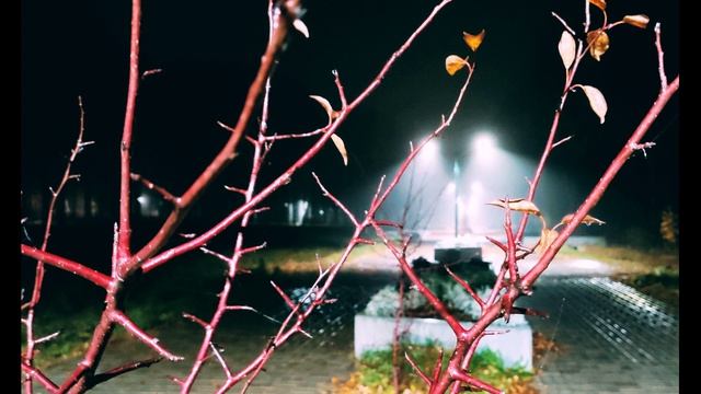 Черубина де Габриак. Цветы