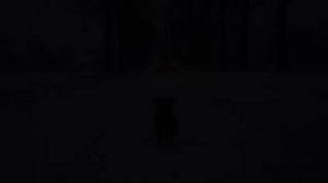 История спасения котёнка.