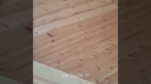 1000055500.mp4 (Собака наблюдает за устройством лестницы на 2-ой этаж в доме А-фрейм)