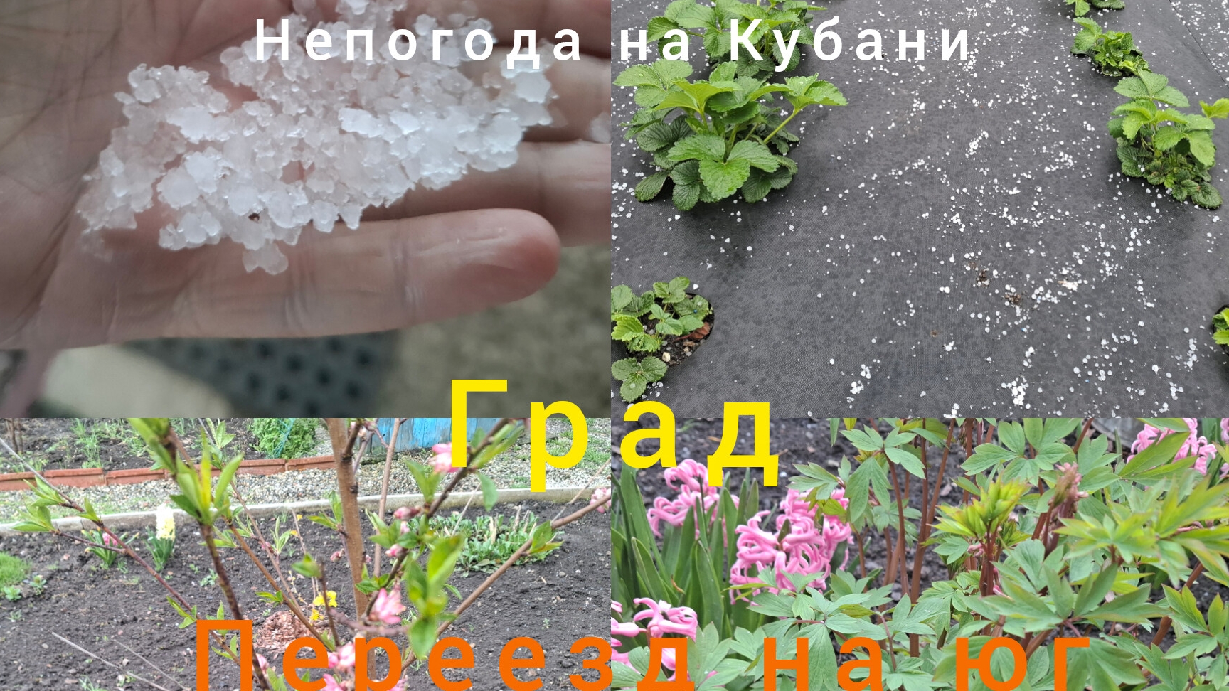 09-04-26/Непогода на Кубани/Град/Переезд на юг/Купили мясо/Живём и работаем на Кубани/ Наша жизнь/