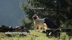 Страхование АнтиКлещ