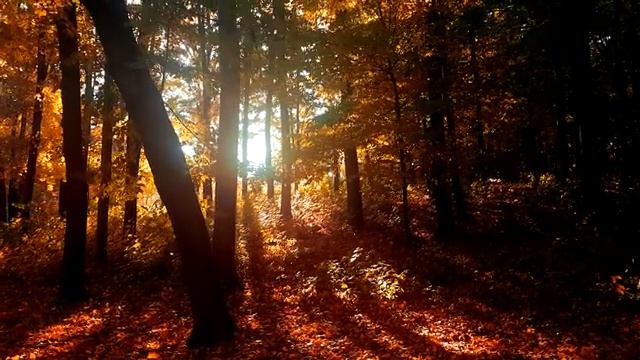 Душа поэта.mp4