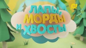 Факты о животных | Лапы, морды и хвосты| Сфинкс