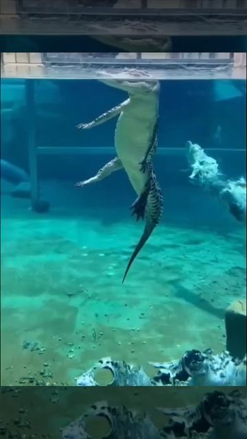 Я вернулся на половину!