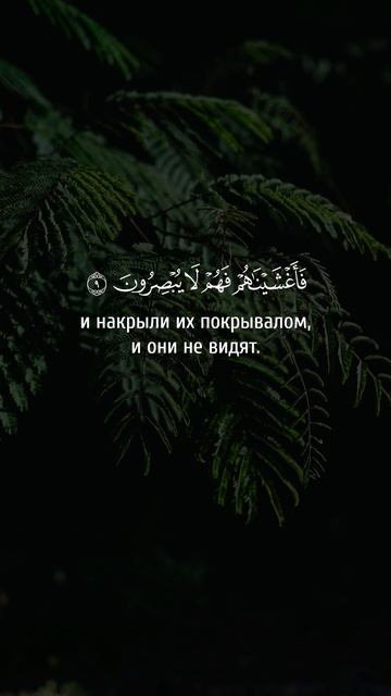 Чтец: Саид Аль-Гамиди. Сура: 36 