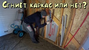 Погодные аномалии ноября. Мой ДР. Утепляю стены.