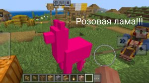 Я встретил баг с ламой в Майнкрафте!
