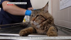 Зоозащитная акция «Веснушка» в действии в Покачах