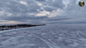 Погоня за самой крупной хищной птицей Мурманской области "орлан‑белохвост"