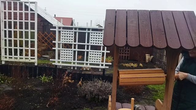 Утро началось с прогулки в 6:00. Грачи вьют гнезда а мы в огород.