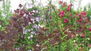 Семинар Центра пермакультуры Хольцера Часть 1